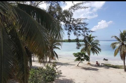 a beach with palm trees and the ocean at Dream Village Boca Chica frente a la playa in Boca Chica