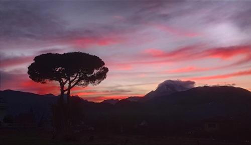 Un paisaje natural cerca de la casa de huéspedes