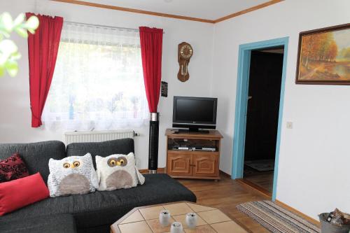 ein Wohnzimmer mit einem Sofa und Eulenkissen in der Unterkunft Ferienhaus mit Kamin in Småland für 6 Personen in Järnforsen