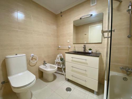 uma casa de banho com um WC, um lavatório e um chuveiro em Piso Plaza Ravella em Vilagarcía de Arousa