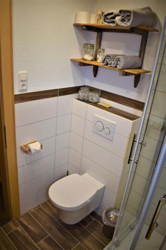 a small bathroom with a toilet and a glass door at Bergbauernhof Pabulariu in Boden