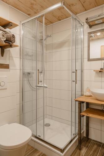 a bathroom with a shower with a toilet and a sink at Bergbauernhof Pabulariu in Boden
