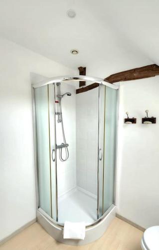 La salle de bains est pourvue d'une douche en verre et de toilettes. dans l'établissement Le Petit Lavoir - Joli studio à Mayet, à Mayet