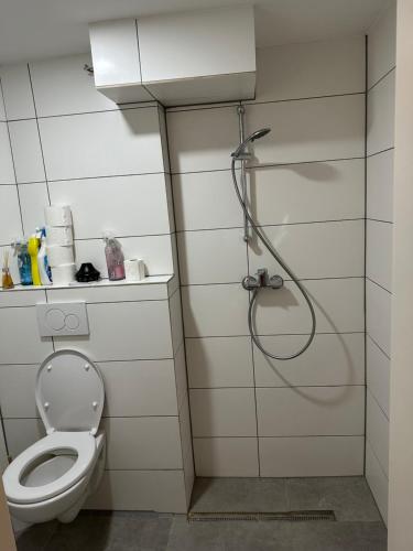 een badkamer met een douche en een toilet bij Apartment for rent 2 in Celle