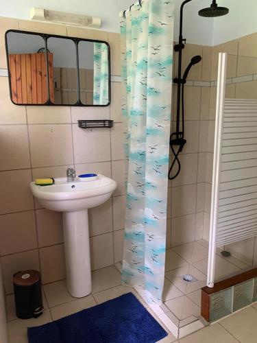a bathroom with a sink and a shower with a mirror at LE JARDIN DE GABRIEL in Sainte-Anne