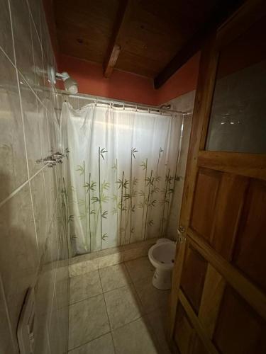 a bathroom with a shower curtain with a toilet at HOSPEDAJE TAFI in Tafí del Valle