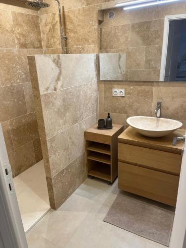 une salle de bain avec un lavabo et une douche dans l'établissement PALAIS ROYAL - Appartement tout confort, à Nice