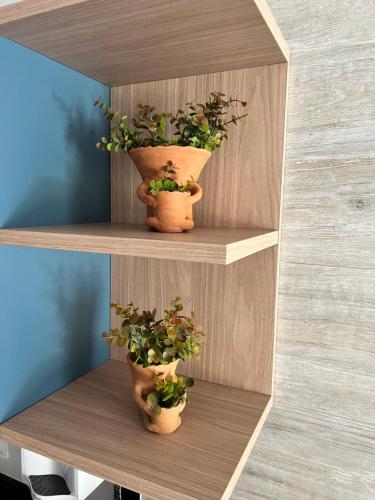 three potted plants sitting on a wooden shelf at Itacimirim pé na areia 2Q in Itacimirim