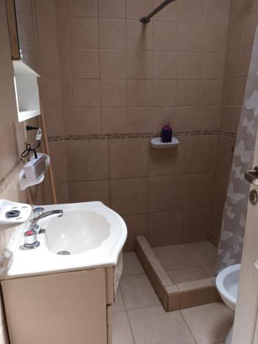 y baño con lavabo y ducha. en Departamento Zanzin en Mendoza