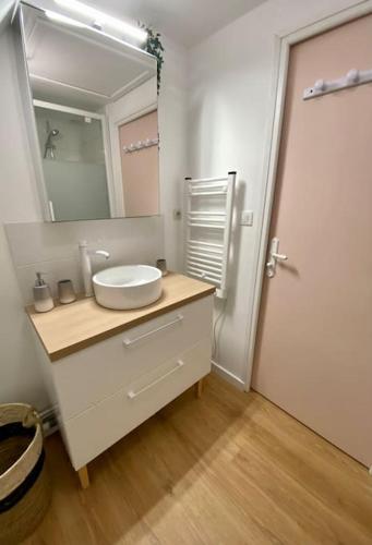 une salle de bain avec un lavabo blanc et un miroir dans l'établissement Le Clos des deux chênes, à Coupelle-Vieille