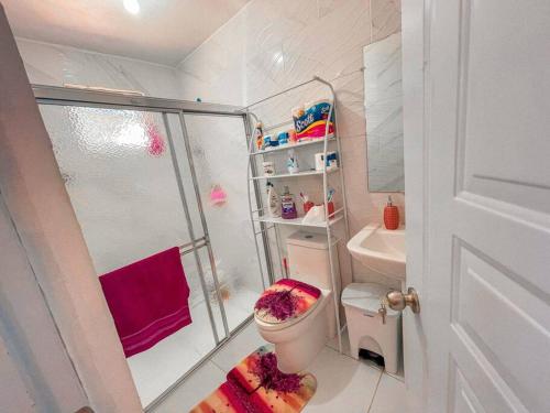 y baño pequeño con ducha y aseo. en Acogedora casa de 2 habitaciones, en Villa Isabela