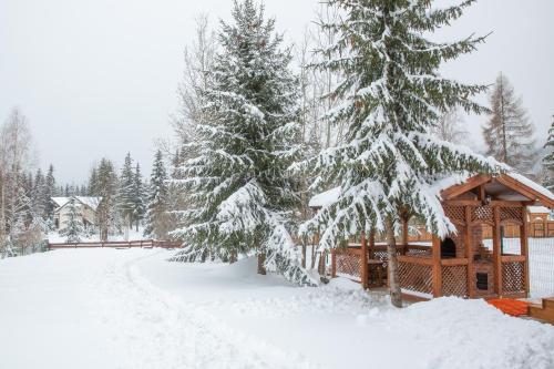 Το Kamilla Vendégház Borzont τον χειμώνα