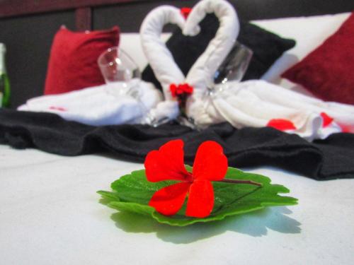 a red flower on a table with two swans at Pousada Mandalla in Serra do Cipo