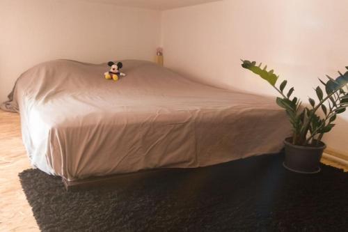 - un ours en peluche assis sur un lit dans une chambre dans l'établissement Studio hyper centre (pros et vacanciers), à Saumur