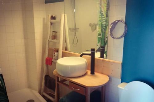 uma casa de banho com um lavatório branco e um chuveiro em Studio hyper centre (pros et vacanciers) em Saumur