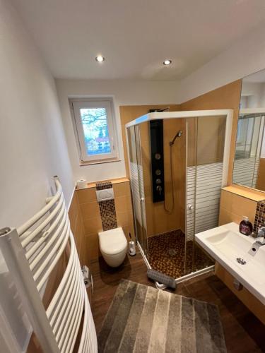 uma casa de banho com um chuveiro, um WC e um lavatório. em Appartments Casa del Sol em Braunschweig