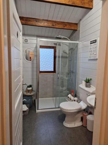 a bathroom with a shower and a toilet and a sink at Kozy Kabin in Waterford