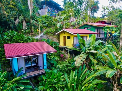 マヌエル・アントニオにあるVillas In Sueño Private Jungle Hotelの森の中の家