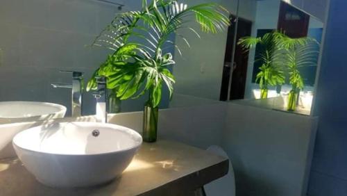 un baño con lavabo blanco y una planta en una encimera en Secret Cottage Granada Nicaragua en Granada