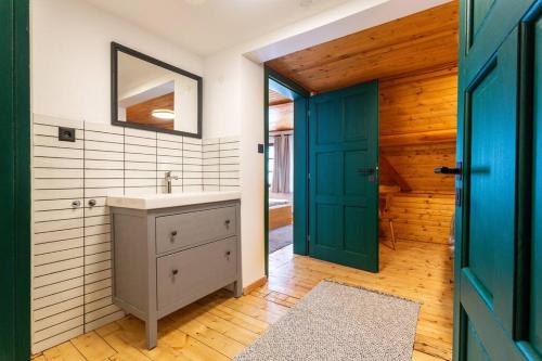 a bathroom with a sink and a green door at Chata u Židle in Boží Dar