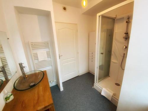 La salle de bains est pourvue d'un lavabo et d'une douche. dans l'établissement LE PERCHOIR-POITIERS-LaConciergerie, à Poitiers