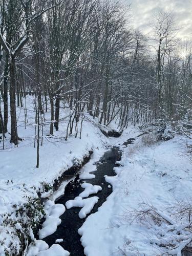 a stream in a snow covered forest with trees at Domek z Widokiem Na Bliżniaki in Chocznia