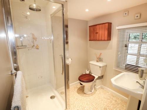 a bathroom with a shower and a toilet and a sink at West View in Newport