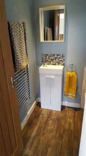 a bathroom with a sink and a mirror at Wee Shed in Portree
