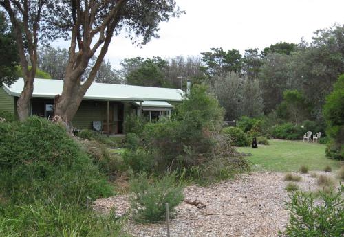 a house with a tree in the yard at Unbeatable Beach Front Access 40m - Star Tour Option in Seaspray