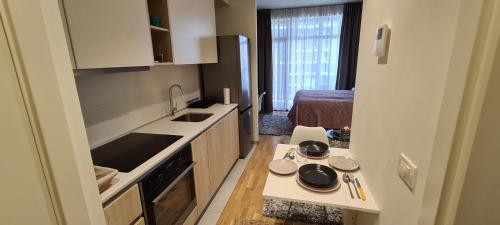 a small kitchen with a sink and a stove at Premium Studio Apartment - Belgrade Waterfront in Sajmište