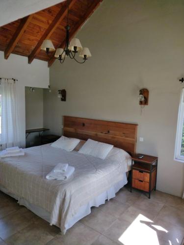 1 dormitorio con cama grande y cabecero de madera en VEGA CHICA en San Martín de los Andes