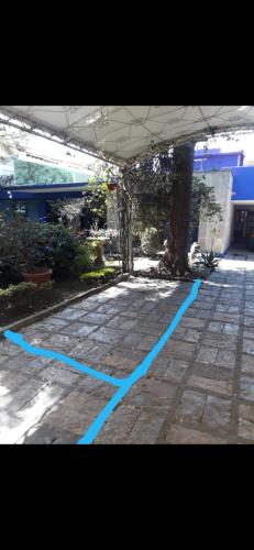 una linea blu per terra in un cortile di Casa coyo a Città del Messico