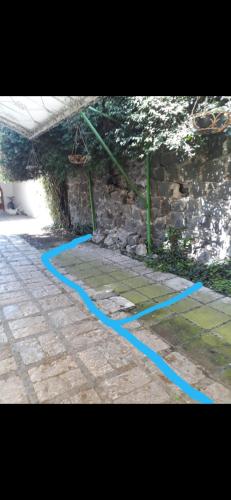 una linea blu sul terreno, accanto a un muro di pietra. di Casa coyo a Città del Messico