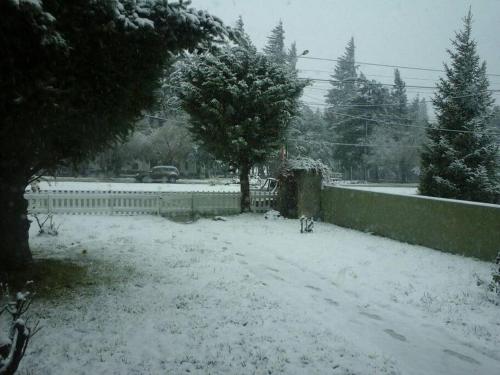 a snow covered yard with a fence and a tree at Los Piros Alojamiento in Esquel