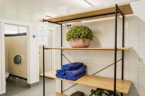une étagère dans une salle de bains avec une plante dans l'établissement BIG4 Perth Midland Tourist Park, à Middle Swan