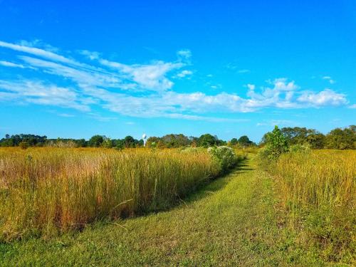 a path through a field with tall grass at Sandaway Suites & Beach in Oxford