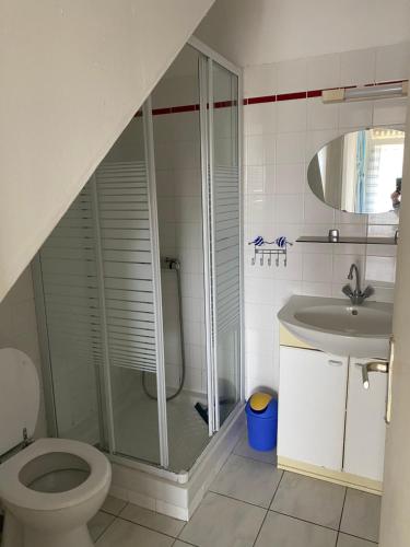 a bathroom with a shower and a toilet and a sink at Gite aux grès des vents in Champeaux