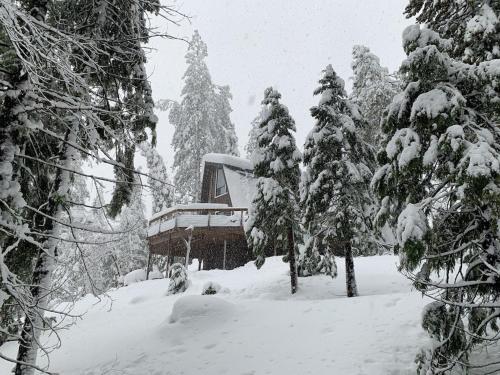 Heckman's Peak / You Deserve some Sierra Snow in Blue Lake Springs!
