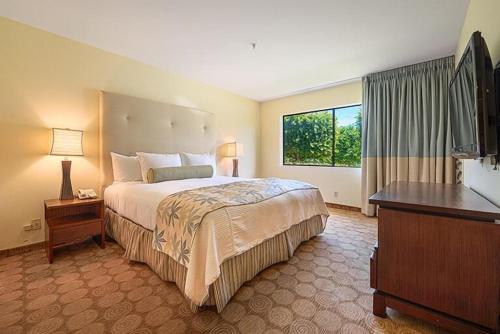 Habitación de hotel con cama grande y TV en Upscale 2Bed 2Bath Condo Prime Location WiFi Pools Kitchen Security en Palm Springs