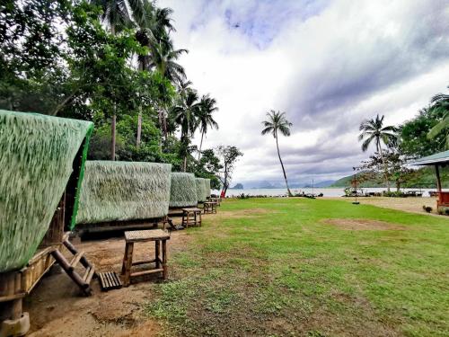 a row of chairs with palm trees in a field at El Nido Beach Camp in Manlalec