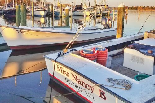 two boats docked in a marina with other boats at Sandaway Suites & Beach in Oxford