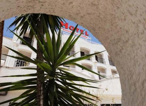a palm tree in front of a white building at Hotel Panorama Del Golfo in Manfredonia