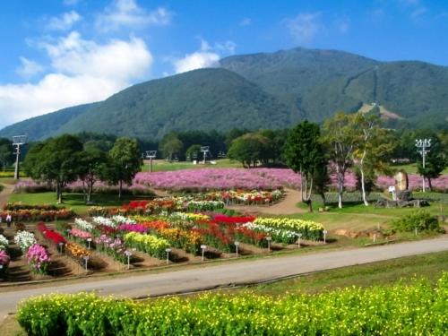 a garden of flowers with mountains in the background at Kurohime Kogen Hotel in Shinano
