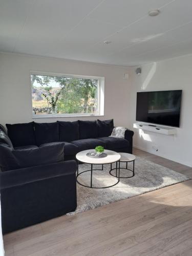 TV a/nebo společenská místnost v ubytování Tångaberg, Varberg