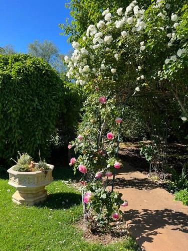 Ein Garten an der Unterkunft Wonga - A secluded oasis in the heart of Parkes