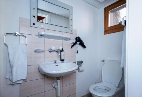 La salle de bains est pourvue d'un lavabo, de toilettes et d'un miroir. dans l'établissement Solution-Grischun, Parkplatz - Küche- Wäschetrokner- Kaffee, Tee, à Flims