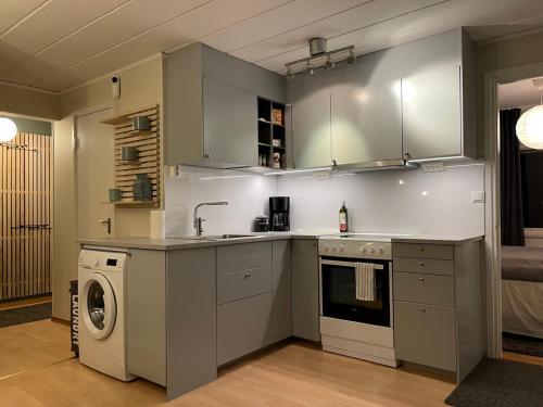 cocina con fregadero y lavadora en Small house Uppsala en Uppsala
