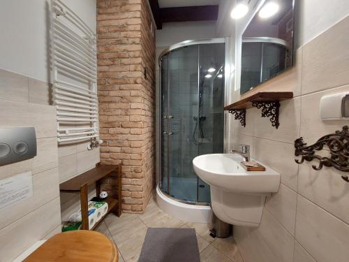 a bathroom with a sink and a glass shower at Werchowyna in Wetlina