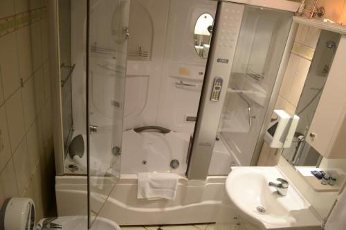 y baño con ducha, aseo y lavamanos. en Hotel Tomce Sofka, en Skopje