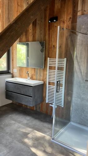 a bathroom with a sink and a glass shower at DualPark Afritz am See in Scherzboden